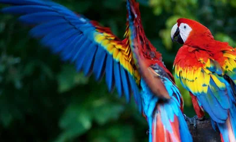 repellat-odio-dolores-quisquam-perferendis